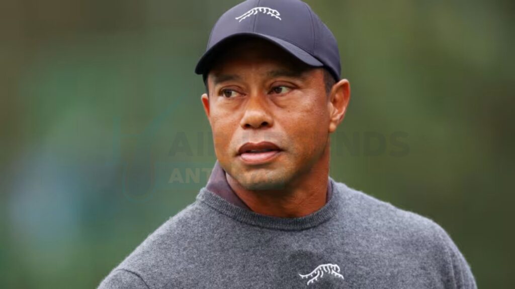 Tiger Woods Hair Transplant