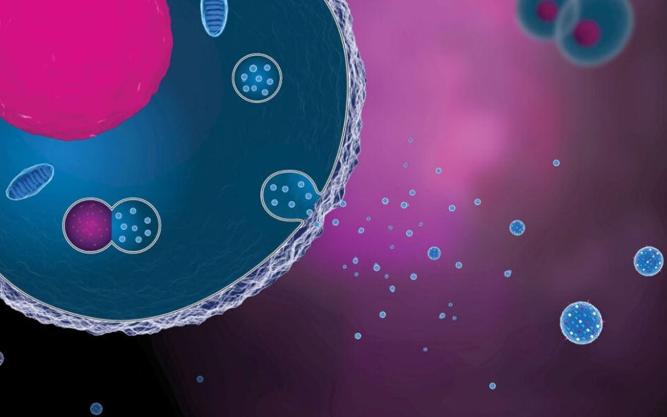 Exosome Therapy
