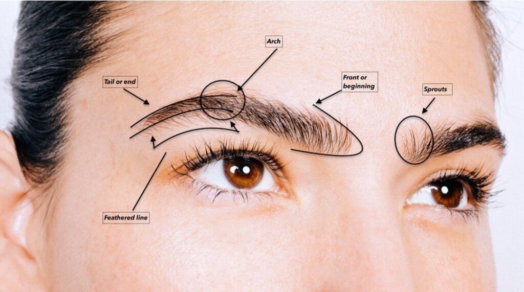 Best Eyebrow Transplant Clinic in Antalya